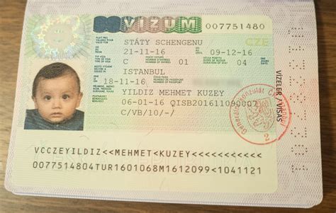 yeni doğan bebek pasaport işlemleri almanya